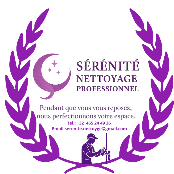 minimalist, clean design, professional cleaning tools logo minimalist, clean design, professional cleaning tools logo